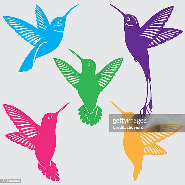 kolibri silhouetten set - hummingbird stock-grafiken, -clipart, -cartoons und -symbole