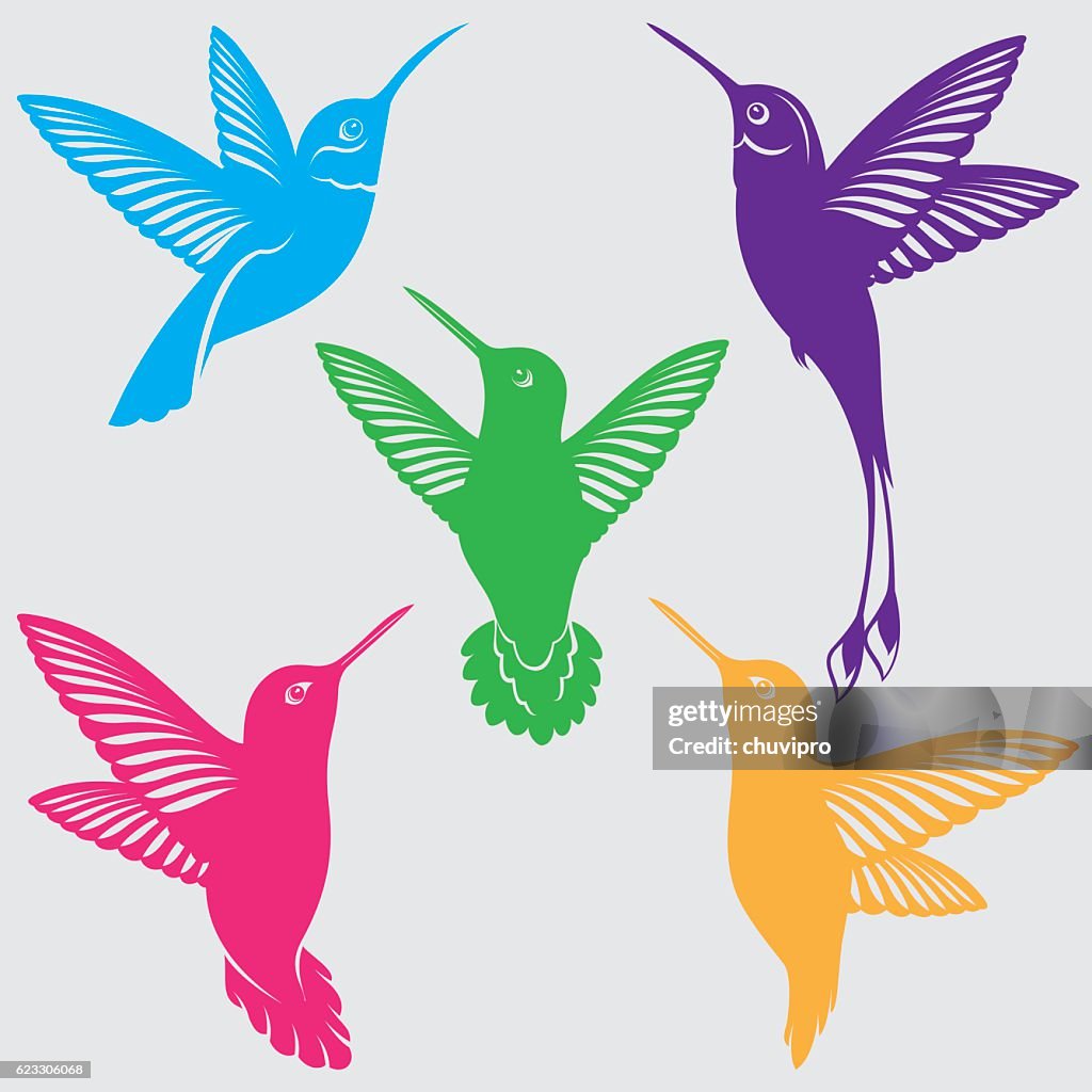 Hummingbirds Silhouettes Set