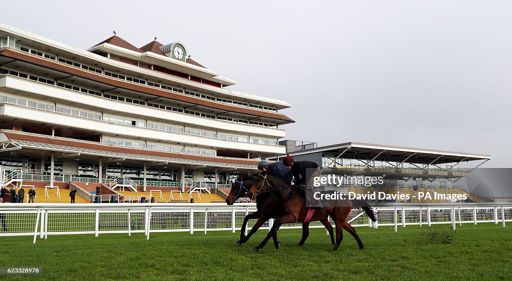 Hennessey Gold Cup Preview - Newbury Racecourse