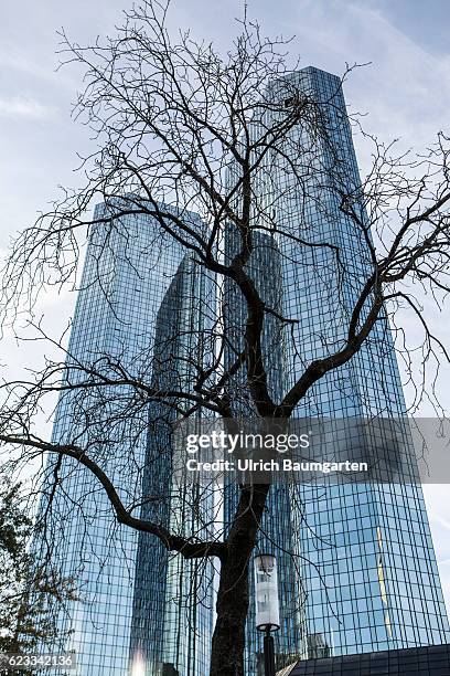 The Frankfurt banking district. The picture shows the head office of Deutsche Bank AG. In the foreground a bare tree.