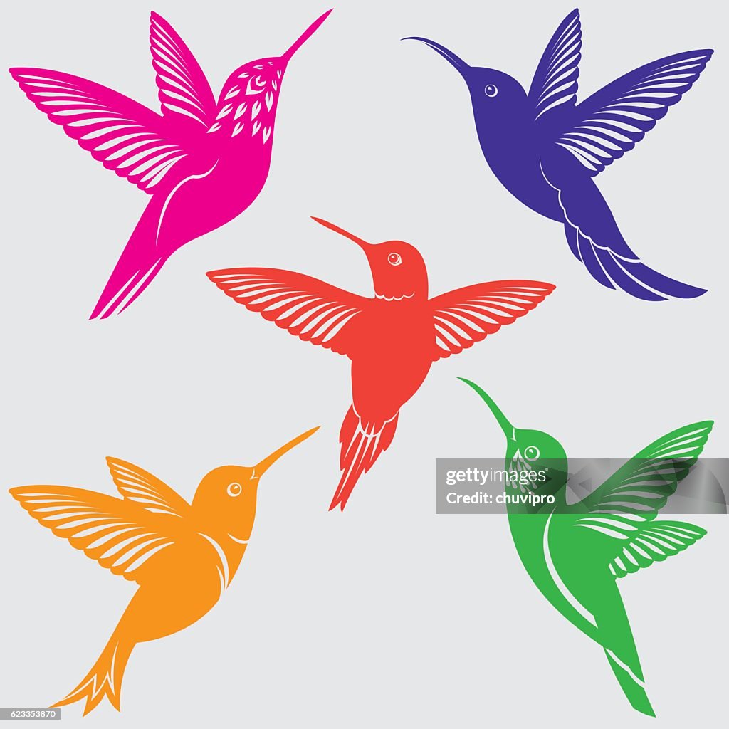 Hummingbirds Silhouettes Set