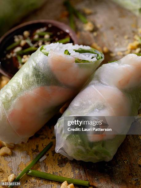 shrimp and rice noodle salad rolls - hoisin sauce stock pictures, royalty-free photos & images