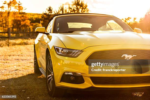 yellow convertible mustang parked at dusk - mustang imagens e fotografias de stock