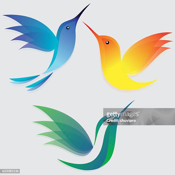ilustraciones, imágenes clip art, dibujos animados e iconos de stock de estilizadas colibríes juego - canturrear
