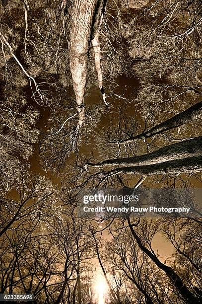 mcfarland park, ames, iowa - rauw stock pictures, royalty-free photos & images