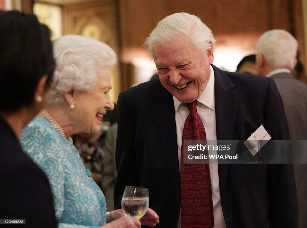 The Queen Hosts A Reception To Showcase The Queen's Commonwealth Canopy