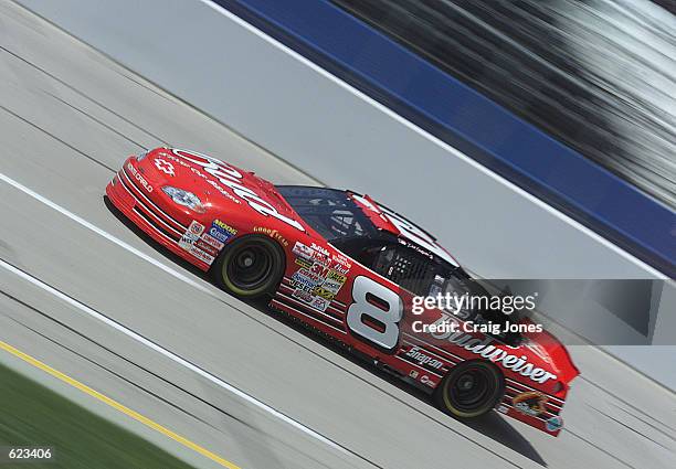 Dale Earnhardt Jr in the Budweiser Chevrolet during practice for the NASCAR Winston Cup Talladega 500 at the Talladega Super Speedway, Talladega,...