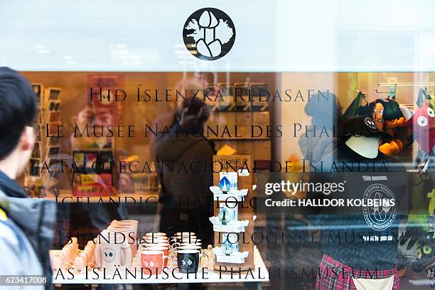 The display window of the Icelandic Phallological Museum in Reykjavik is ppictured on October 27, 2016. Inside the museum's large illuminated rooms,...