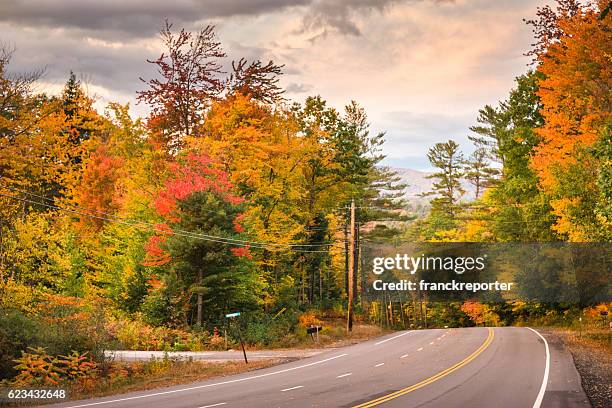 autumnal park in vermont - new england during the autumn - massachusetts landscape stock pictures, royalty-free photos & images