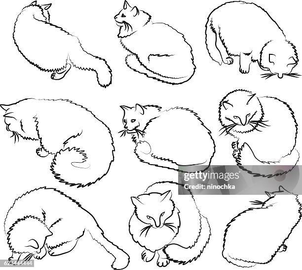 nine sketches of cat - cat tail stock illustrations