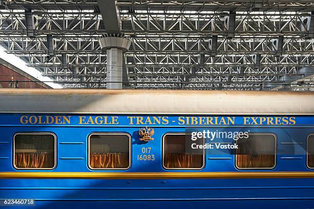 golden eagle trans siberian express train - trans siberian express stock pictures, royalty-free photos & images