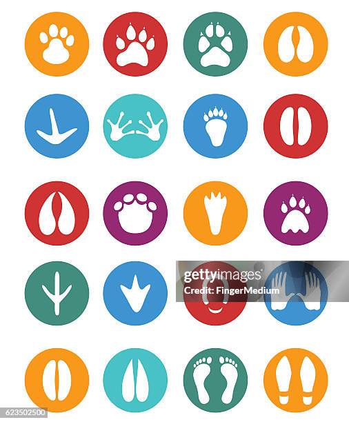 footprints icon set - bear footprint stock illustrations