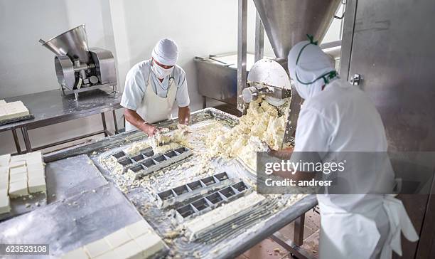 men working at a dairy factory - dairy factory stock pictures, royalty-free photos & images