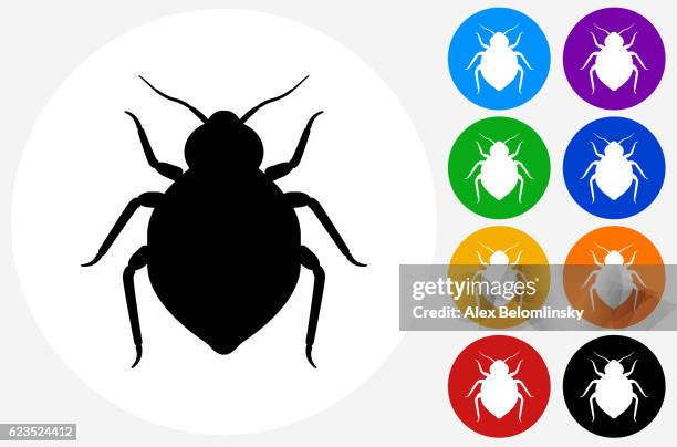 bedbug icon on flat color circle buttons - bed bug white background stock illustrations