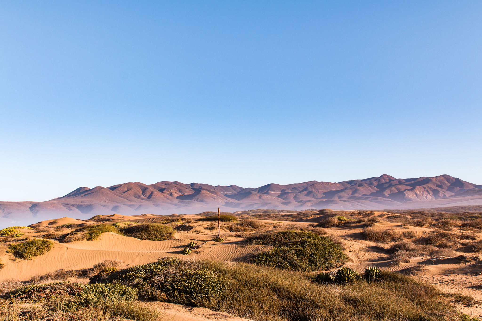 baja california desert