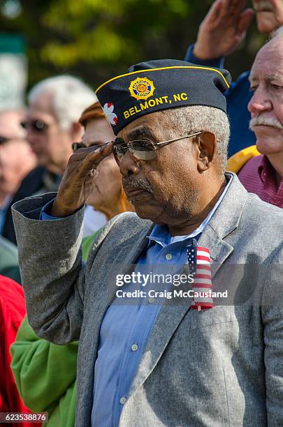 american veterans honored at a veteran’s day cermony - veteran memorial stock pictures, royalty-free photos & images