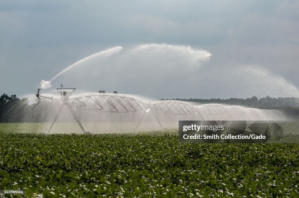 Pivot Sprinkler