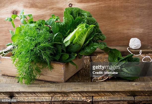 raw organic leafy green foods - leaf vegetable stock pictures, royalty-free photos & images