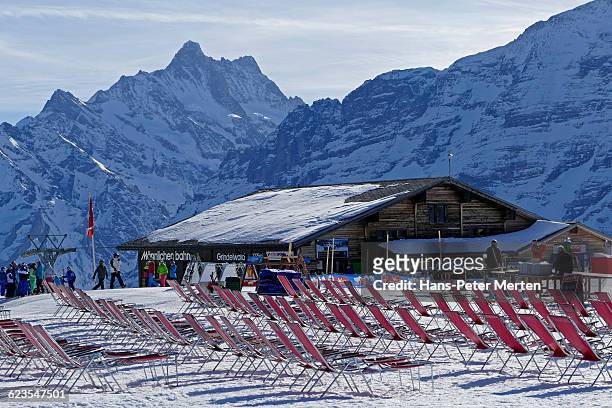 deckchairs at männlichen, bernese alps - mannlichen foto e immagini stock