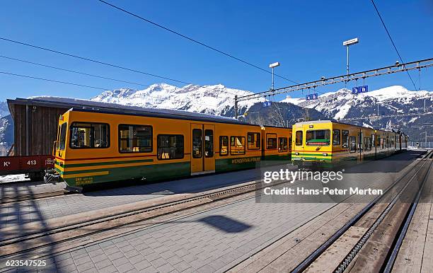 wengernalpbahn at station wengen, bernese alps - wengen fotografías e imágenes de stock