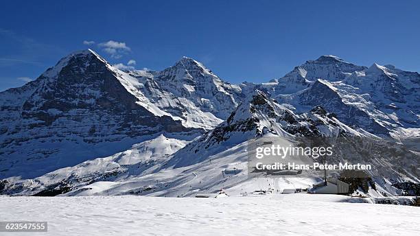 eiger, mönch and jungfrau, bernese alps - mannlichen stock pictures, royalty-free photos & images