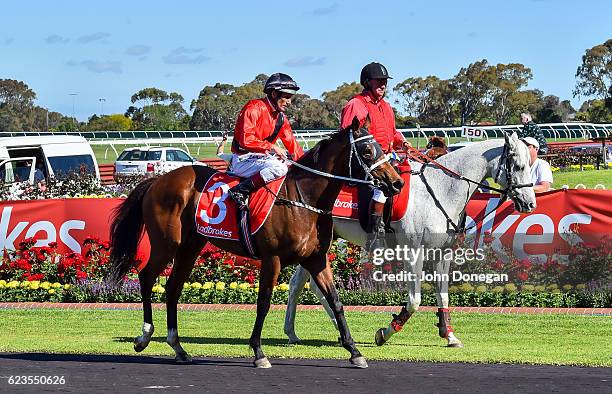 Encosta Line ridden by Damien Oliver returns after winning the Le Pine Funerals Handicap at Ladbrokes Park Hillside Racecourse on November 16, 2016...