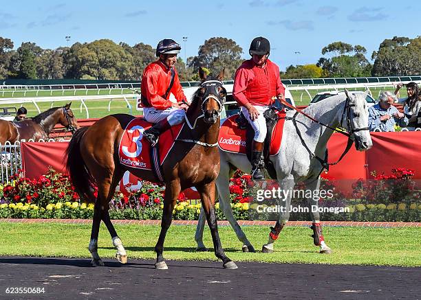 Encosta Line ridden by Damien Oliver returns after winning the Le Pine Funerals Handicap at Ladbrokes Park Hillside Racecourse on November 16, 2016...