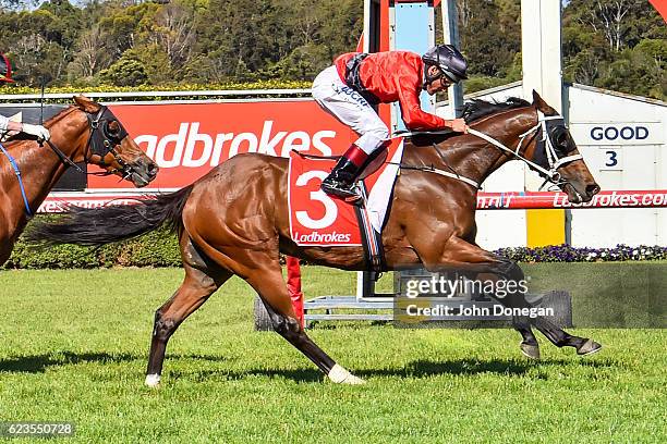 Encosta Line ridden by Damien Oliver wins the Le Pine Funerals Handicap at Ladbrokes Park Hillside Racecourse on November 16, 2016 in Springvale,...