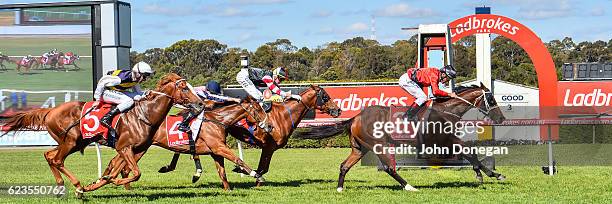 Encosta Line ridden by Damien Oliver wins the Le Pine Funerals Handicap at Ladbrokes Park Hillside Racecourse on November 16, 2016 in Springvale,...