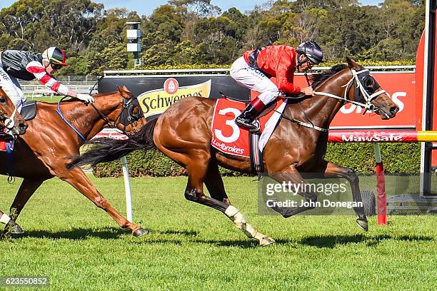 Encosta Line ridden by Damien Oliver wins the Le Pine Funerals Handicap at Ladbrokes Park Hillside Racecourse on November 16, 2016 in Springvale,...