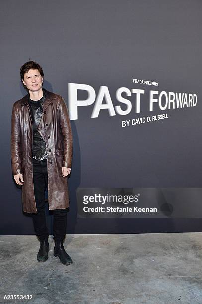Director Kimberly Peirce attends the premiere of 'Past Forward', a movie by David O. Russell presented by Prada on November 15, 2016 at Hauser Wirth...