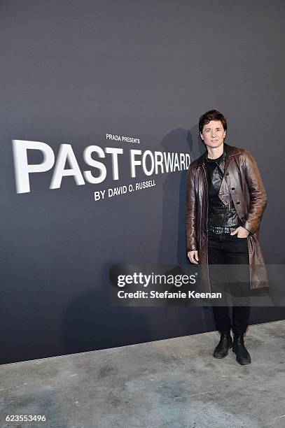 Director Kimberly Peirce attends the premiere of 'Past Forward', a movie by David O. Russell presented by Prada on November 15, 2016 at Hauser Wirth...