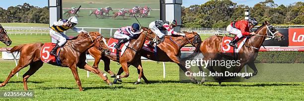 Encosta Line ridden by Damien Oliver wins the Le Pine Funerals Handicap at Ladbrokes Park Hillside Racecourse on November 16, 2016 in Springvale,...