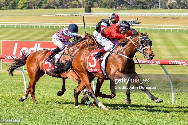 Encosta Line ridden by Damien Oliver wins the Le Pine Funerals Handicap at Ladbrokes Park Hillside Racecourse on November 16, 2016 in Springvale,...