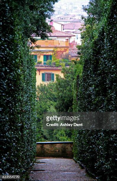 boboli gardens - florence, italy - pitti stock pictures, royalty-free photos & images