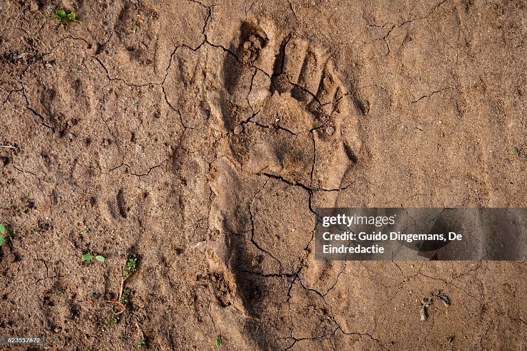 Human footprint in the East-African desert (Malawi)