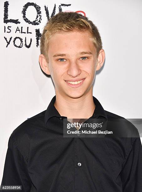Actor Jacob Rodier arrives at the Los Angeles Premiere of LOVE IS ALL YOU NEED? at ArcLight Hollywood on November 15, 2016 in Hollywood, California.