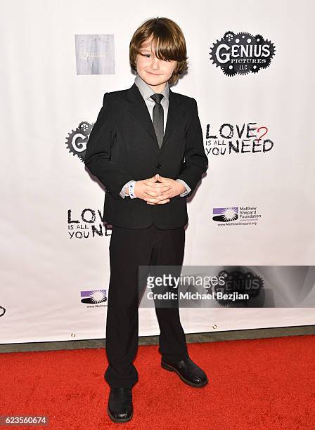 Actor Tate Birchmore arrives at the Los Angeles Premiere of LOVE IS ALL YOU NEED? at ArcLight Hollywood on November 15, 2016 in Hollywood, California.