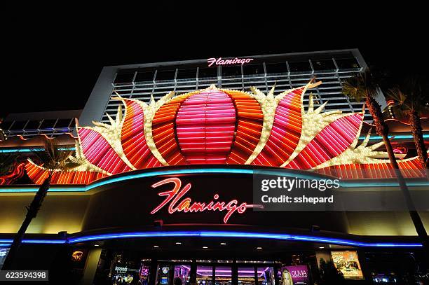 illuminated flamingo las vegas sign and hotel - flamingo las vegas stockfoto's en -beelden