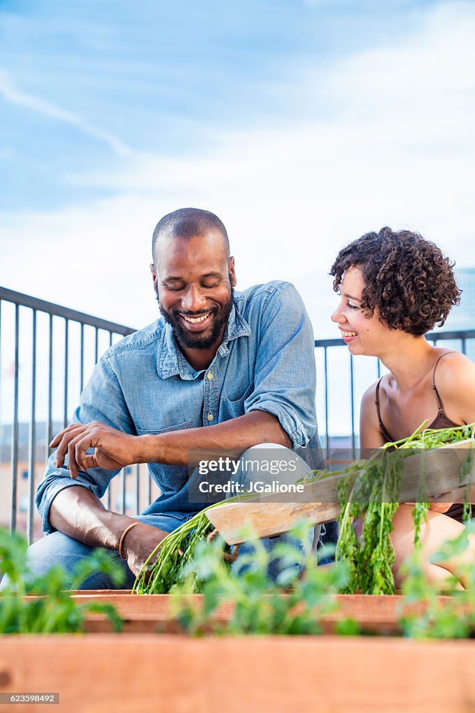 Jeune couple jardinage urbain ensemble