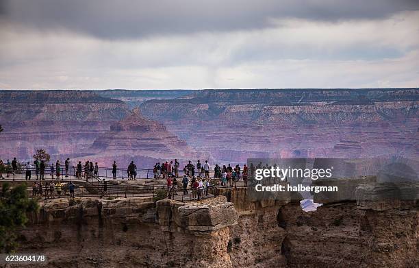 crowds of people at mather point in the grand canyon - mather point stock pictures, royalty-free photos & images