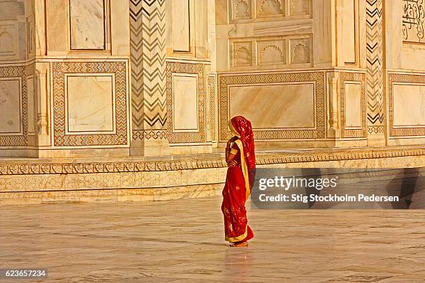 the woman in red - gold sari imagens e fotografias de stock