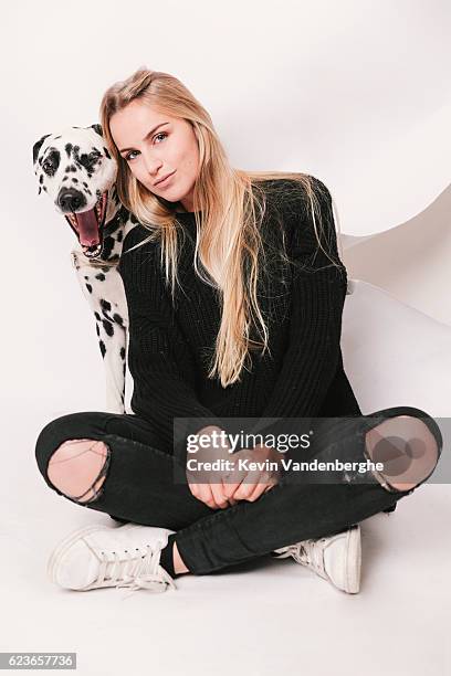 dalmatian dog in the studio - dalmatian stock pictures, royalty-free photos & images