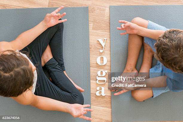 siblings doing yoga together - child yoga elevated view stock pictures, royalty-free photos & images