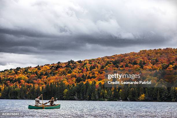 remando en la maravilla de la naturaleza en canadá - ontario kanada fotografías e imágenes de stock