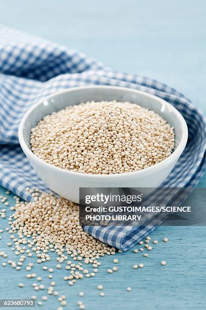 quinoa seeds - quinoa stockfoto's en -beelden