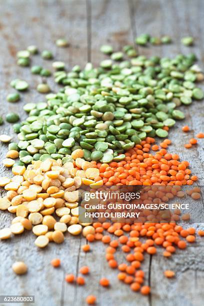 mixed selection of peas and lentils - green lentil stock pictures, royalty-free photos & images