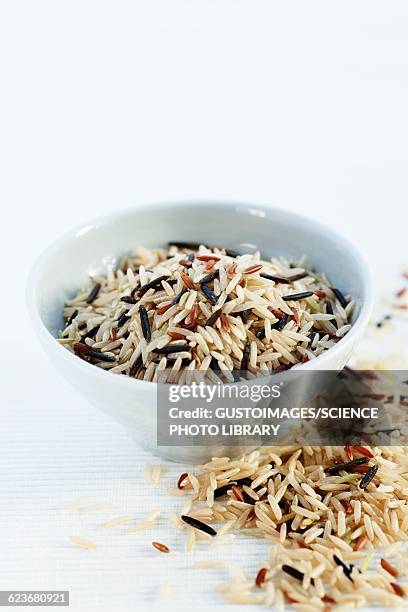 2,055 Wild Rice Stock Photos, High-Res Pictures, and Images - Getty Images
