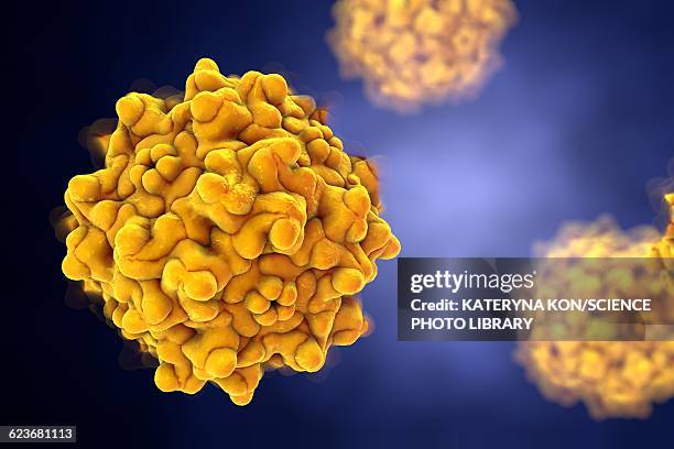 adeno-associated virus, illustration - adenovirus stock-grafiken, -clipart, -cartoons und -symbole