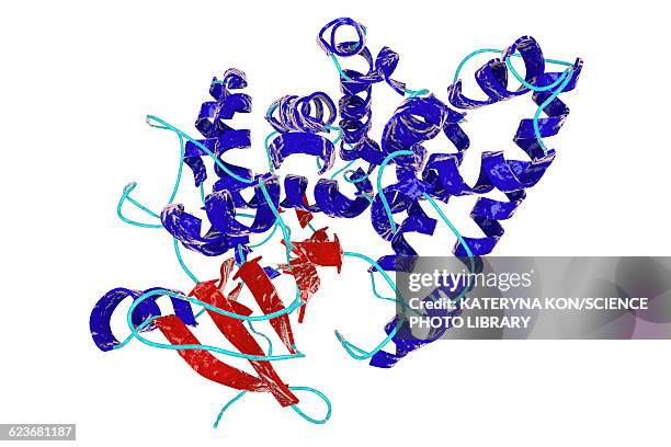 nitrate reductase molecule, illustration - acetylcholine stock illustrations